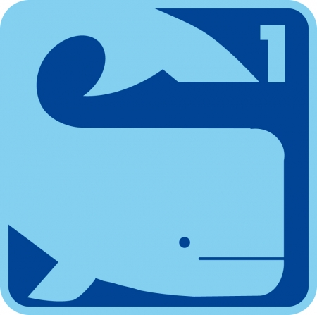 Schwimmkurs Wal Schwimmkurs Wal