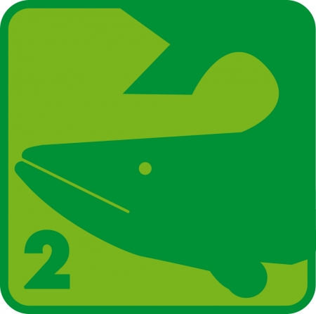 Schwimmkurs Hecht Schwimmkurs Hecht